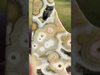 8th Vein Ocean Jasper Polished Free Form #19