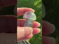Colorful Fluorite Mushroom Carving #13