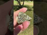 Ocean Jasper Free-form #6