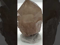 Natural Citrine Cathedral Crystal, Congo, Lightbrary #7