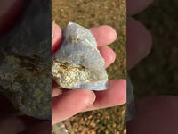 Blue Lace Agate Raw Specimen #8