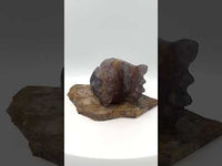 Fluorite Dragon Head Carving #3