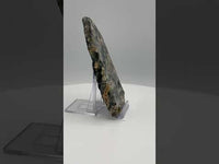 8th Vein Ocean Jasper Slab #33