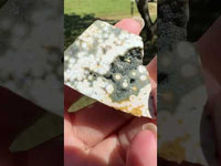 Ocean Jasper Free-form #7