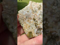 8th Vein Ocean Jasper Slab #68