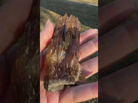 Natural Amber Calcite Raw Specimen UV Reactive #14