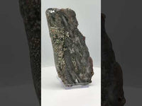 8th Vein Ocean Jasper Slab #14