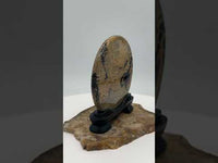 Natural Picture Jasper Slab with Stand #7