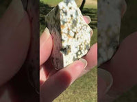 Ocean Jasper Free-form #19