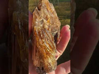 Natural Amber Calcite Raw Specimen UV Reactive #1