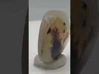 Designer Dendritic Agate Cabochon #6