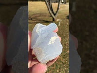 Blue Lace Agate Raw Specimen #12