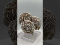 Selenite "Desert Rose," Samalayuka Desert, Chihuahua, Mexico #2