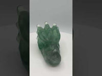Fluorite Dragon Head Carving #23