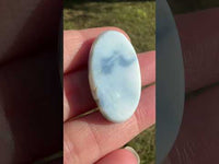 Owyhee Blue Opal Cabochon #28