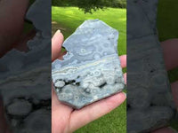 8th Vein Ocean Jasper Slab #61