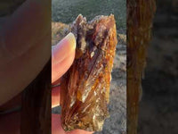 Natural Amber Calcite Raw Specimen UV Reactive #10