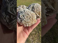 Selenite "Desert Rose," Samalayuka Desert, Chihuahua, Mexico #2