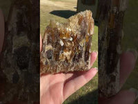 Natural Amber Calcite Raw Specimen UV Reactive #15