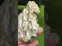 8th Vein Ocean Jasper Slab #26