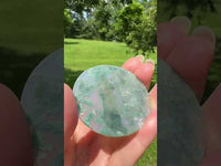 Moss Agate Polished Round Slice #6