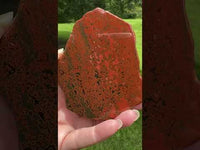 8th Vein Ocean Jasper Slab #86