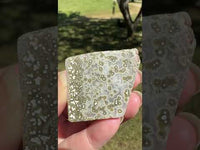 Ocean Jasper Free-form #8