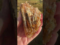 Natural Amber Calcite Raw Specimen UV Reactive #5