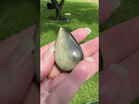 Natural Golden Sheen Obsidian Pearshape Large Cabochon #6