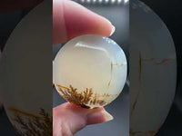 Designer Dendritic Agate Cabochon #2