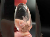 Beautiful Cat Garden Quartz Inner Scene Carving #3