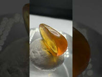 Fossil Insect Inclusion in Burmese Amber #10