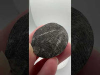 Natural Orthoceras Fossil Specimen #23