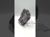 8th Vein Ocean Jasper Slab #37