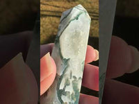 Moss Agate Double Terminated Point #3