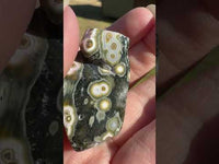 8th Vein Ocean Jasper Polished Free Form #6
