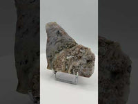 8th Vein Ocean Jasper Slab #65