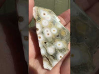 8th Vein Ocean Jasper Polished Free Form #14