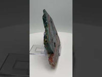 8th Vein Ocean Jasper Slab #57