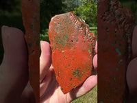 8th Vein Ocean Jasper Slab #126