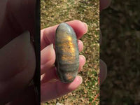 Labradorite Palmstone #27