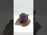 Fluorite Dragon Head Carving #4