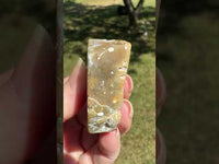 Ocean Jasper Free-form #11