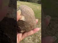 Polished Front Agate Geode #2