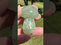 Fluorite Mushroom Carving #24