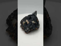 Uvite, Powers Farm, Pierrepont, New York