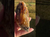 Natural Amber Calcite Raw Specimen UV Reactive #8