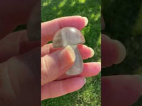 Fluorite Mushroom Carving #18