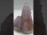 Amethyst Spirit Cactus Cluster, South Africa #3