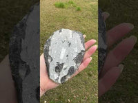 Orthoceras Fossil #11